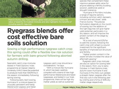 In-Field-Focus Spring Sown High Performance Ryegrass