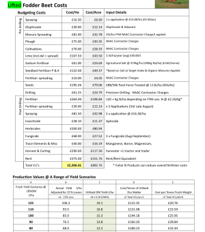 Fodder Beets Costs 2023 LIFTED