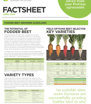 Fodder Beet Growers Guidelines 2024