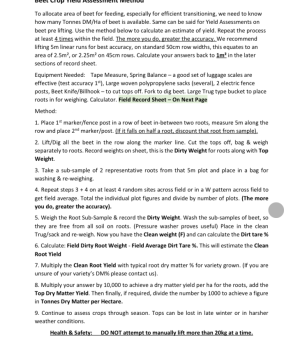 Fodder Beet Yield Assessment sheet