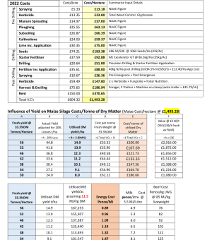 FO Maize Costs 2022