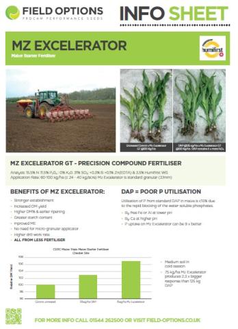 MZ Excelerator Info Sheet 2025