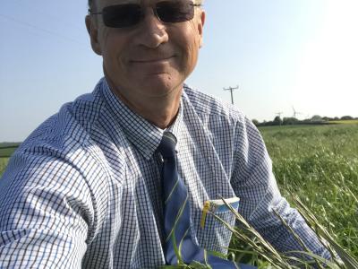 Simon Montgomery explains that an autumn sown catch crop could help to alleviate worries regarding forage shortages this winter